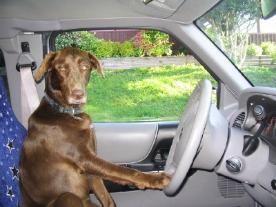 Huuna driving my sister's truck