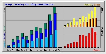 Webalizer graph of first 11 months of Muskblog