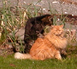 Fred and his gay lover Hobbs