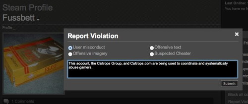 Reporting Misconduct on Steam