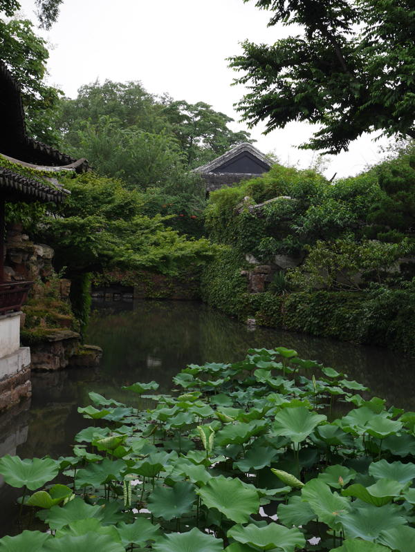 Humble Administrator's Garden