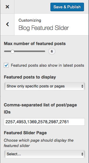 My settings for the blog featured slider