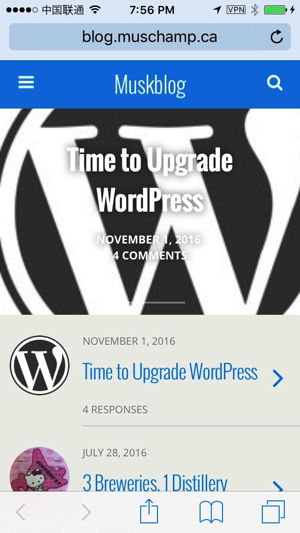 Muskblog under the default WPTouch theme