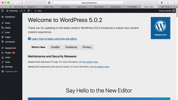 WordPress 5.0.2 Successfully Installed
