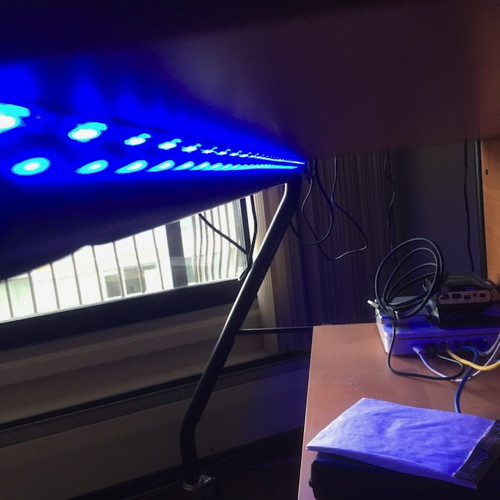 LED strip lighting for desk shelves