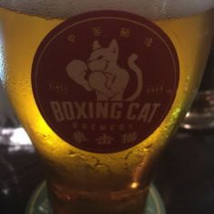 Boxing Cat Beer