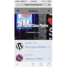 Muskblog in WPTouch