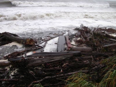 Extra high tide washing floatsam ashore