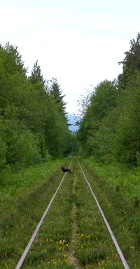 Huuna on the tracks