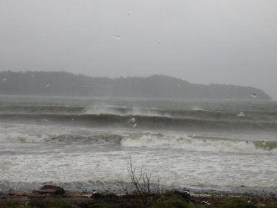The wind whipped surf in Deep Bay