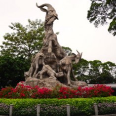 Guangzhou's Famous 5 Goats