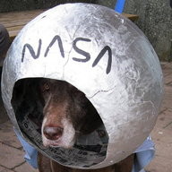 Space Dog costume